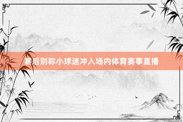 赛后别称小球迷冲入场内体育赛事直播