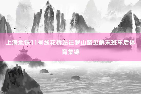 上海地铁11号线花桥站往罗山路见解末班车后体育集锦