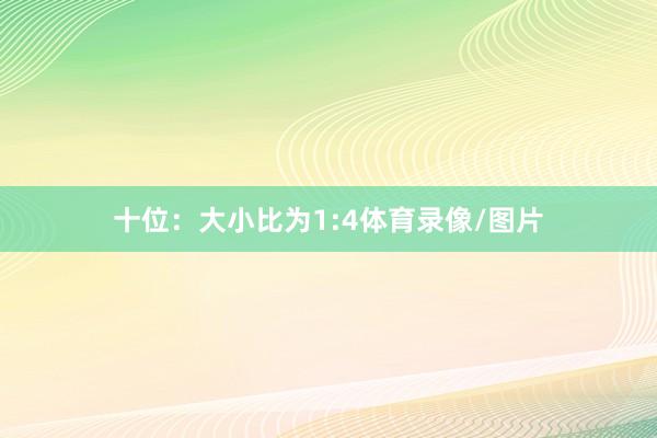 十位：大小比为1:4体育录像/图片