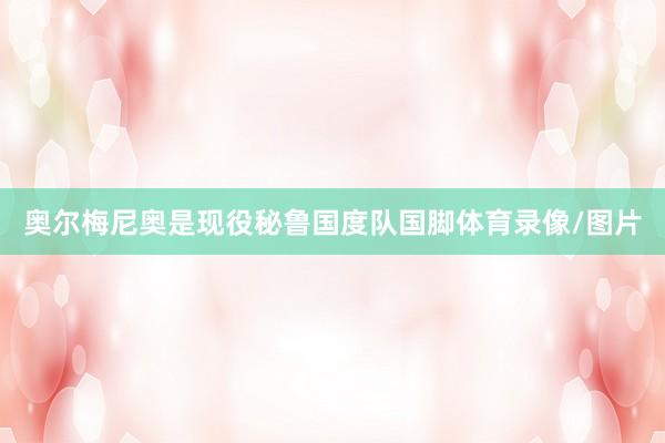 奥尔梅尼奥是现役秘鲁国度队国脚体育录像/图片