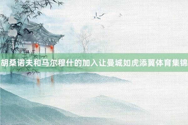 胡桑诺夫和马尔穆什的加入让曼城如虎添翼体育集锦