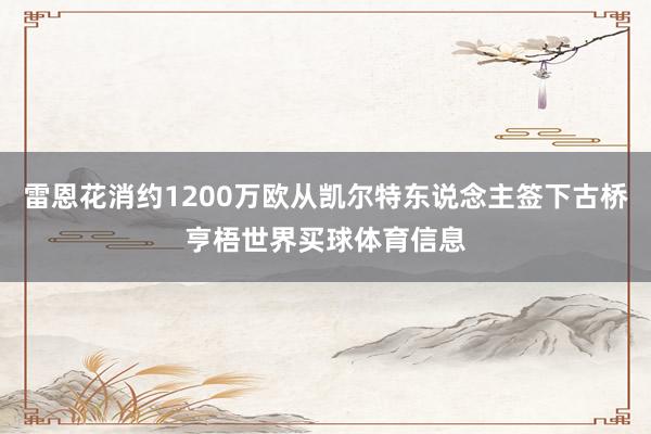 雷恩花消约1200万欧从凯尔特东说念主签下古桥亨梧世界买球体育信息