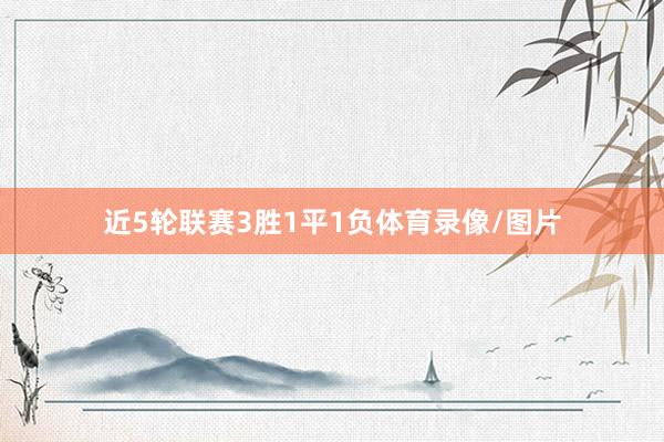 近5轮联赛3胜1平1负体育录像/图片