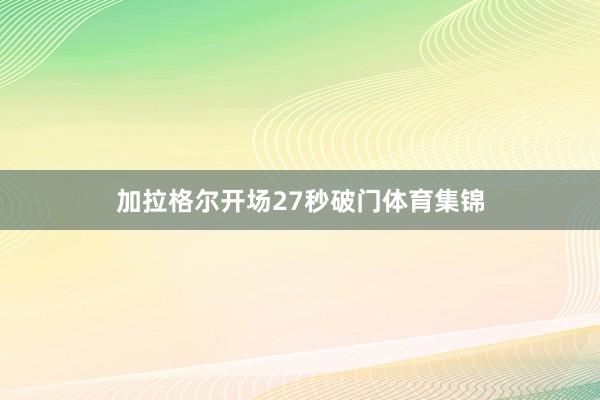 加拉格尔开场27秒破门体育集锦