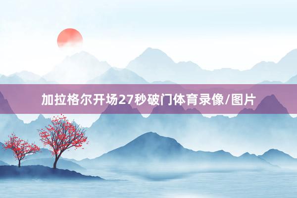 加拉格尔开场27秒破门体育录像/图片