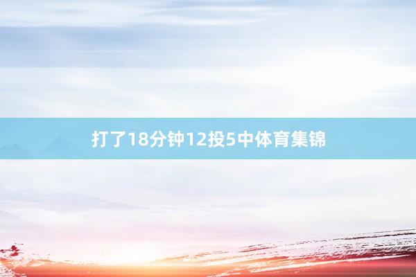 打了18分钟12投5中体育集锦