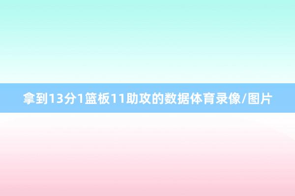 拿到13分1篮板11助攻的数据体育录像/图片