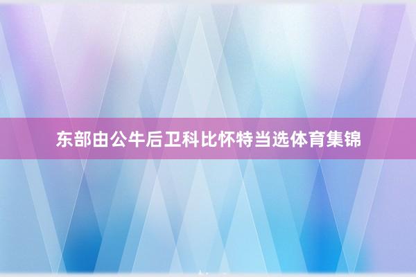 东部由公牛后卫科比怀特当选体育集锦