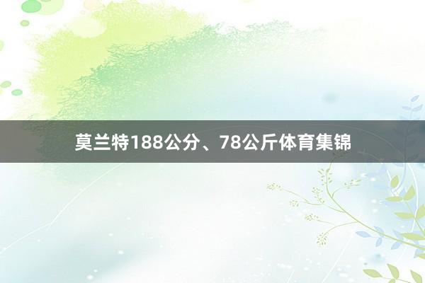 莫兰特188公分、78公斤体育集锦