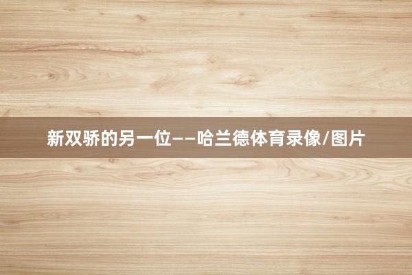 新双骄的另一位——哈兰德体育录像/图片