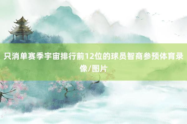 只消单赛季宇宙排行前12位的球员智商参预体育录像/图片