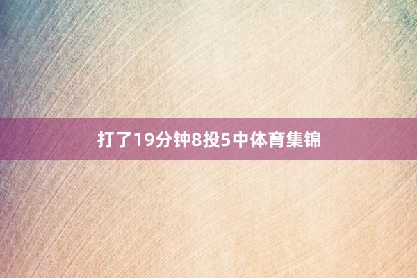 打了19分钟8投5中体育集锦