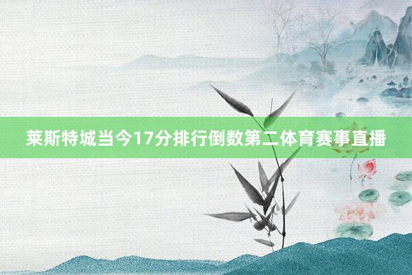 莱斯特城当今17分排行倒数第二体育赛事直播