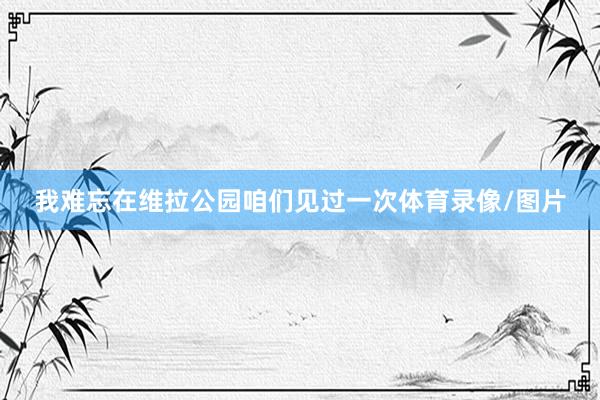 我难忘在维拉公园咱们见过一次体育录像/图片