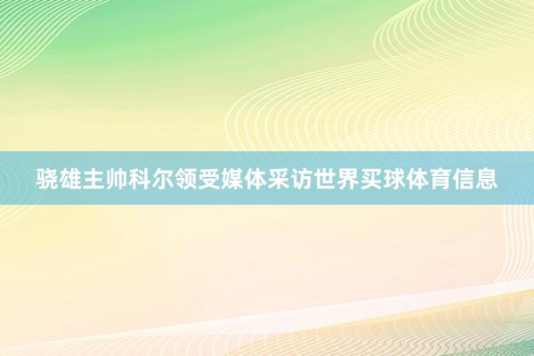 骁雄主帅科尔领受媒体采访世界买球体育信息
