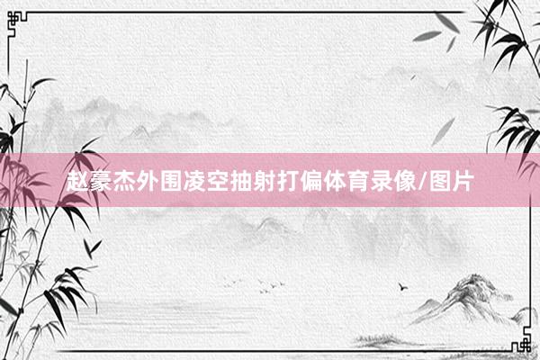 赵豪杰外围凌空抽射打偏体育录像/图片