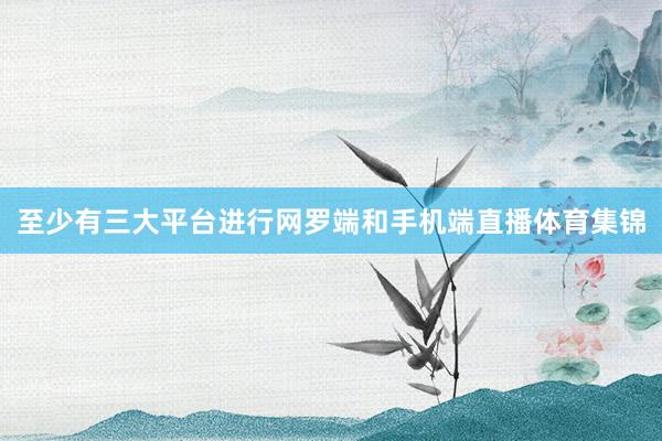 至少有三大平台进行网罗端和手机端直播体育集锦