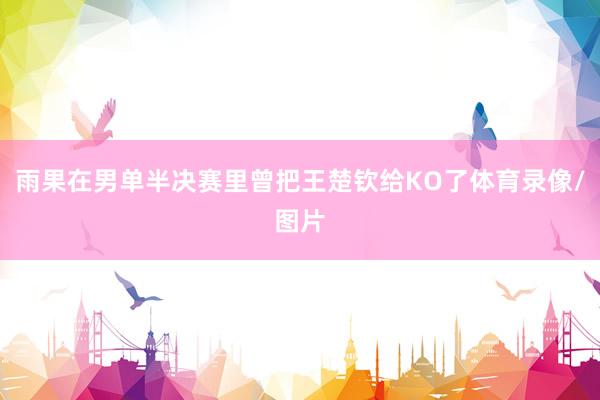 雨果在男单半决赛里曾把王楚钦给KO了体育录像/图片