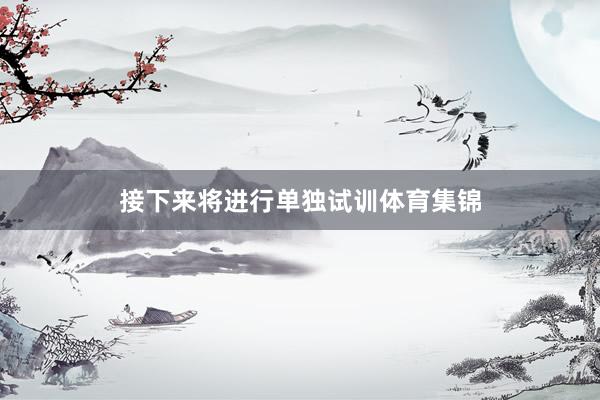 接下来将进行单独试训体育集锦