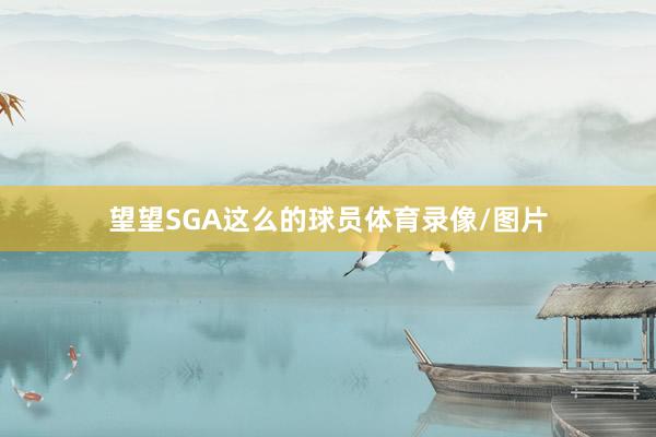 望望SGA这么的球员体育录像/图片