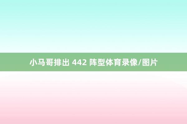 小马哥排出 442 阵型体育录像/图片