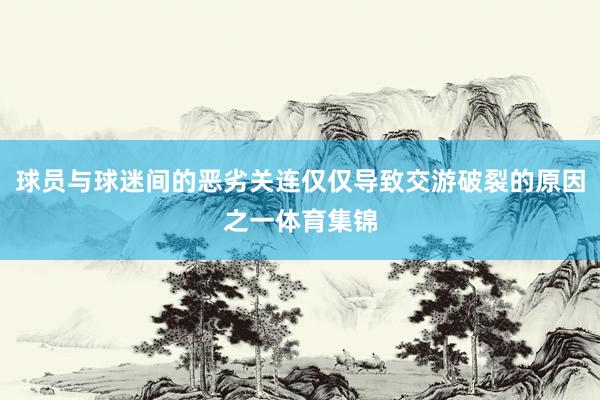 球员与球迷间的恶劣关连仅仅导致交游破裂的原因之一体育集锦
