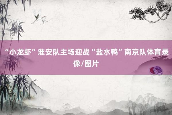 “小龙虾”淮安队主场迎战“盐水鸭”南京队体育录像/图片