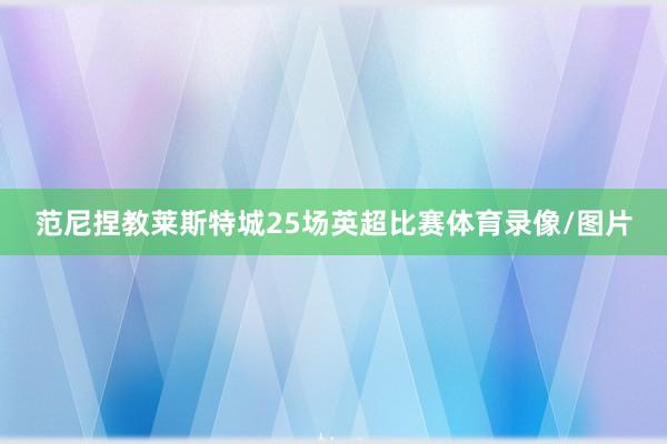 范尼捏教莱斯特城25场英超比赛体育录像/图片