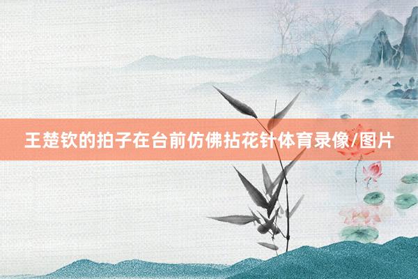 王楚钦的拍子在台前仿佛拈花针体育录像/图片