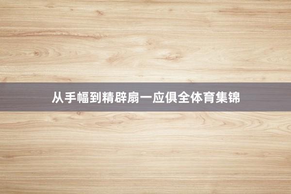 从手幅到精辟扇一应俱全体育集锦