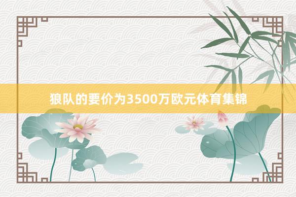 狼队的要价为3500万欧元体育集锦