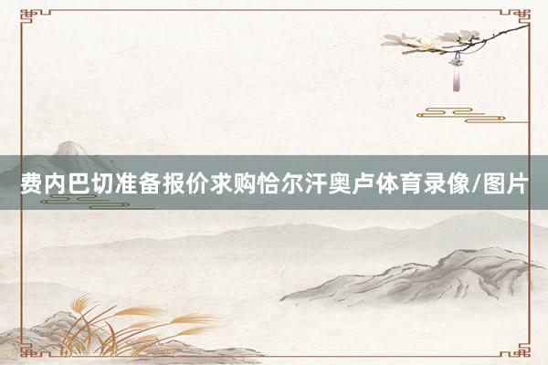 费内巴切准备报价求购恰尔汗奥卢体育录像/图片