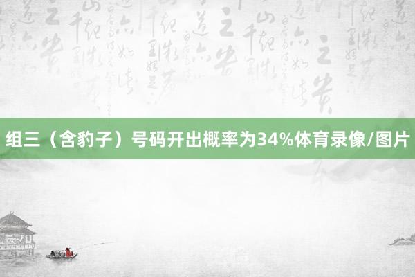 组三（含豹子）号码开出概率为34%体育录像/图片