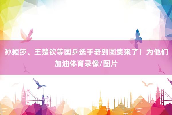 孙颖莎、王楚钦等国乒选手老到图集来了！为他们加油体育录像/图片