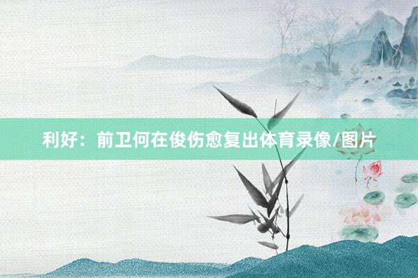 利好：前卫何在俊伤愈复出体育录像/图片