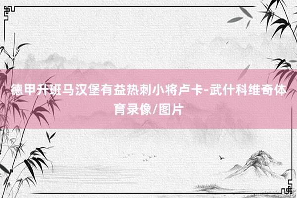 德甲升班马汉堡有益热刺小将卢卡-武什科维奇体育录像/图片