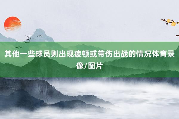 其他一些球员则出现疲顿或带伤出战的情况体育录像/图片