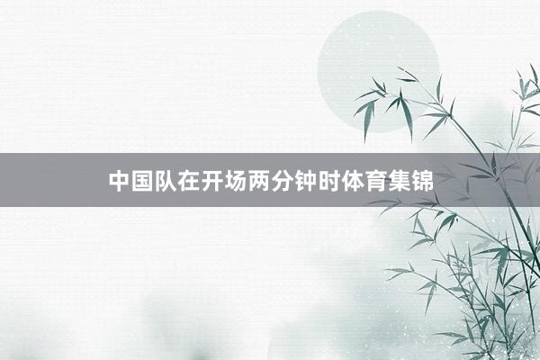 中国队在开场两分钟时体育集锦