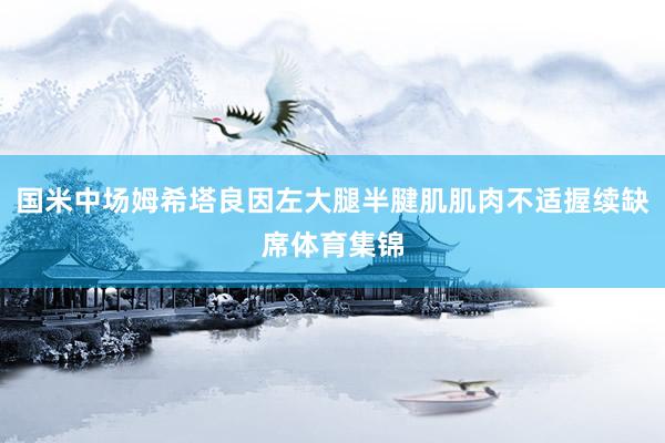 国米中场姆希塔良因左大腿半腱肌肌肉不适握续缺席体育集锦