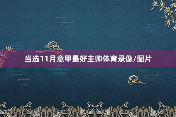 当选11月意甲最好主帅体育录像/图片