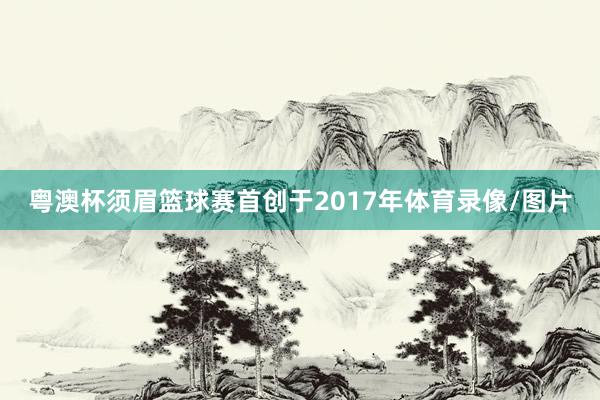 粤澳杯须眉篮球赛首创于2017年体育录像/图片