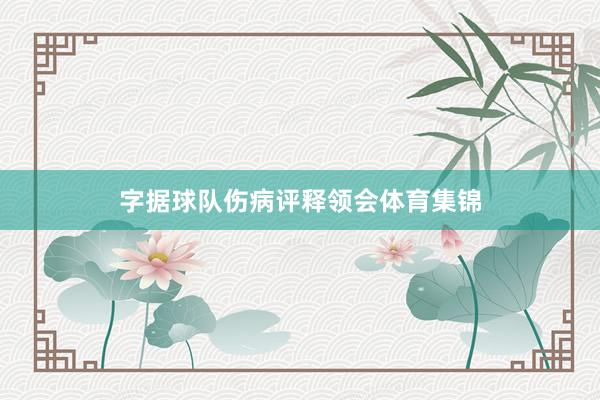 字据球队伤病评释领会体育集锦