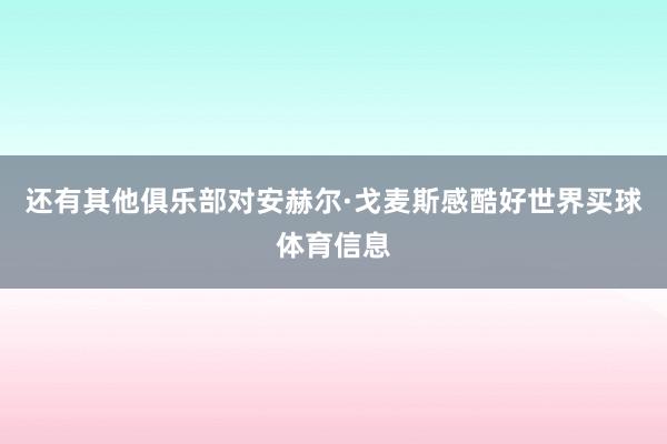 还有其他俱乐部对安赫尔·戈麦斯感酷好世界买球体育信息