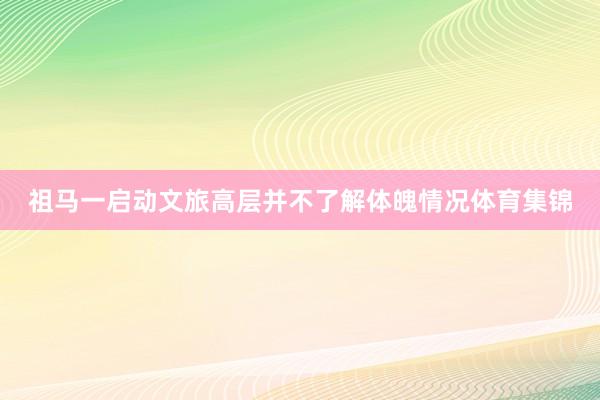 祖马一启动文旅高层并不了解体魄情况体育集锦