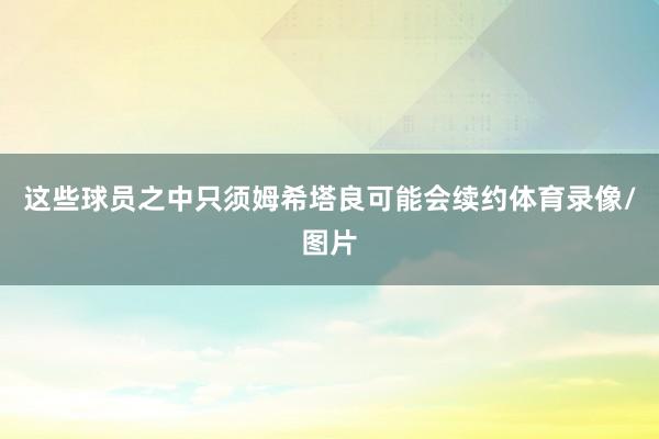 这些球员之中只须姆希塔良可能会续约体育录像/图片