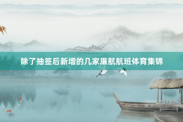 除了抽签后新增的几家廉航航班体育集锦