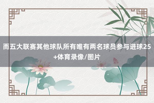 而五大联赛其他球队所有唯有两名球员参与进球25+体育录像/图片