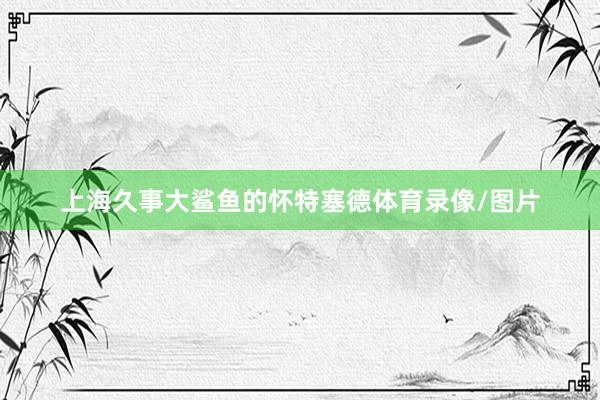 上海久事大鲨鱼的怀特塞德体育录像/图片
