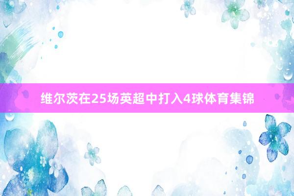 维尔茨在25场英超中打入4球体育集锦