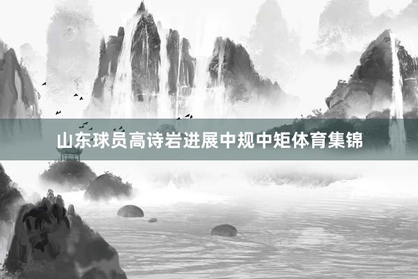 山东球员高诗岩进展中规中矩体育集锦